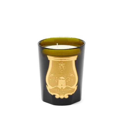Trudon 미디움 Cyrnos scented candle Green